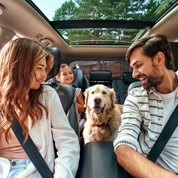 famly and dog riding in car